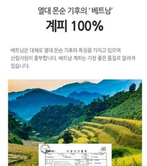 100% Natural Cinnamon Powder 300g Korean Medicinal Powder Herbal Powder NEW