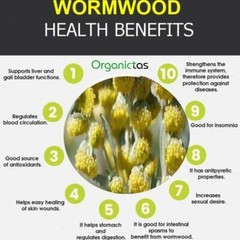WORMWOOD Herb Tea Organic Artemisia Absinthium Digestion Natural Antibiotic Worm