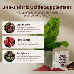 Nitric Oxide Beet Root Organic Powder, Heart & Blood Pressure – Snap Supplements