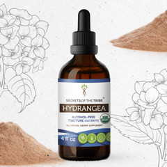 Secrets Of The Tribe Hydrangea Tincture Alcohol-FREE
