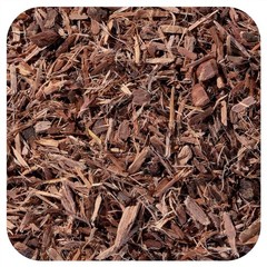 Organic White Willow Bark Cut & Sifted – 1 lb Herbal Supplement for Pain Relief