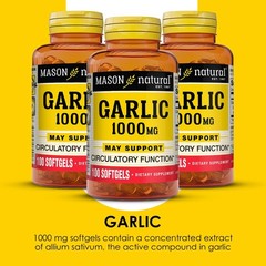 MASON NATURAL Garlic Oil 300 Day Supply Softgels, 100 Count (Pack of 3)
