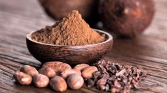 CACAO Extract Anandamide Antioxidants Enrich Mood Folk Handcraft Remedy Tincture