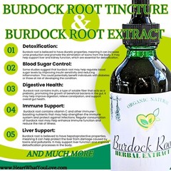 Burdock Root Organic Tincture Liquid Herbal Drops Extract Detox Plant-Base 2 oz