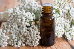 100% Natural Bulgarian Wild YARROW HERB dried by TheMostPrecious -160g