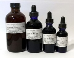 Atlantic Kelp Tincture, Extract, Thyroid, Seaweed, Multiple Sizes