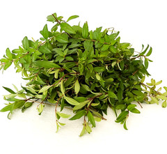 Dried Osbeckia Octandra Melastomatacea Ayurvedic Fatty Liver Cirrhosis Medicine