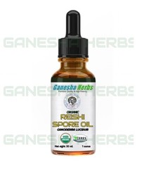 ORGANIC CERTIFIED REISHI (GANODERMA LUCIDUM) SPORE OIL 1 oz. NO CAPSULES!
