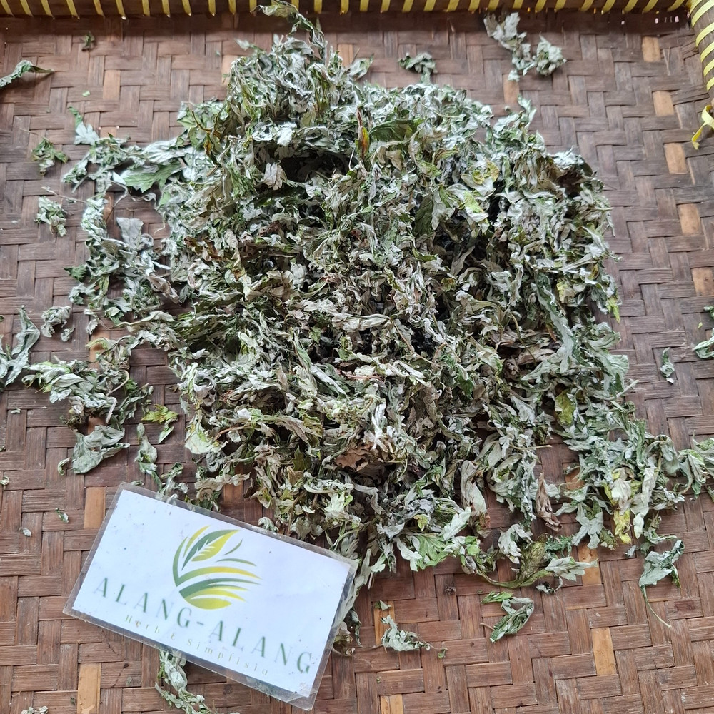 Daun Baru Cina (Artemisia vulgaris) Mugwort Dried