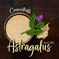 Astragalus Root Astragalus Tea Classic Natural Herb Pure 2oz USA