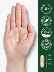 Ceylon Cinnamon Capsules 4000mg | 120 Count | Non-GMO, Gluten Free | by Carlyle