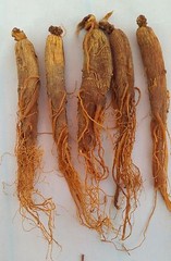Red Panax Ginseng Root | 6 year Whole root | Ships from USA | Korean Red Ginseng