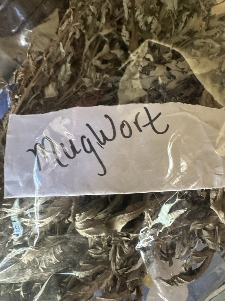 Mugwort Herb Wild Crafted Dried Cut 1oz Artemisia Vulgaris Mugwort Tea – USA