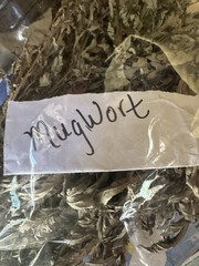 Mugwort Herb Wild Crafted Dried Cut 1oz Artemisia Vulgaris Mugwort Tea – USA