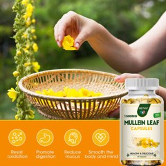 Mullein Leaf Capsules For Lung Cleansing & Detox Herbal Dietary Supplement 60PCS