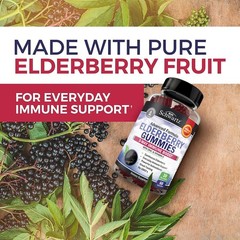 BioSchwartz Elderberry Gummies with Zinc and 60 Count (Pack of 1), Berry