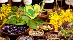 Organic Lemon Verbena Herb – Natural Digestive & Liver Wellness Support – 28.3g