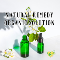 Devils Claw Tincture | Natural Herbal Drops |Mobil & Comfort Support 2-16 OZ
