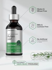 Mullein drops for Lung, Mullein Leaf Extract, Super Concentrated Tincture