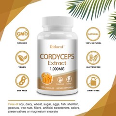 Cordyceps Extract 1000mg Capsules Improve Endurance & Strength Boost Energy