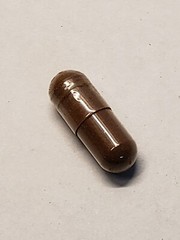 Ceylon Cinnamon Capsules 300 Ct – Made Fresh On Demand!