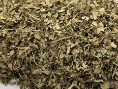Sakae Naa, Combretum quadrangulare, All Natural Leaves ~ Schmerbals Herbals