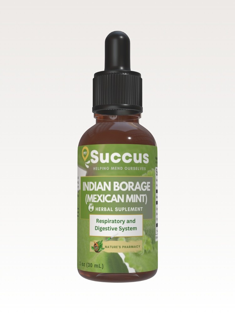 Indian Borage (Mexican Mint) Tincture- Respiratory Support