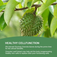 Soursop Graviola Capsules /Drops 1000mg Natural Soursop Capsules Leaves fruit