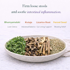 Colon Formula – Pitta – For loose stools #16