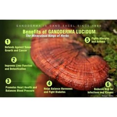 2X Gano Excel Excellium 90 + Ganoderma Lucidum 90, Reishi Lingzhi Usa Stock Ship