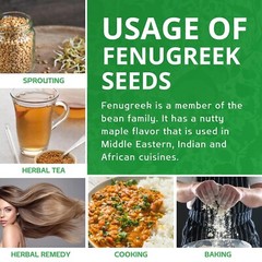 Fenogreco semilla semillas de fenogreco 1Libras sin gluten Organico 100% natural