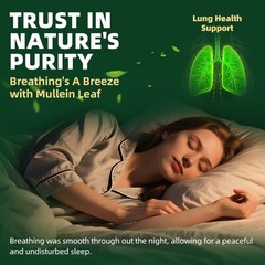60ml Mullein Drops for Lungs, Detox and Cleanse Mullein Extract Supplement