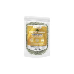 Costus Igneus Insulin Plant planta de insulina Tea – blood sugar regulation*