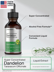 Dandelion Root Extract Supplement | 2 Fl Oz | Super Concentrated | Alcohol Free