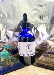 Jamaican Blue Vervain Tincture