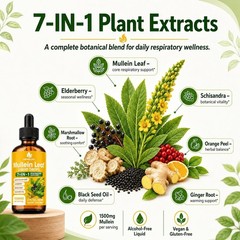 Rapid Absorption Mullein Leaf Drops for Healthier Breathing – 1500mg, 2 Fl Oz