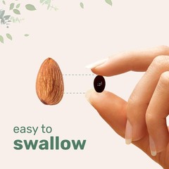 Micro Ingredients Ceylon Cinnamon | 300 Softgels with MCT Oil | Highly Bioavaila