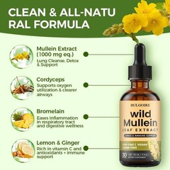 60ml Organic Wild Mullein & Ginger Drops – Comfortable Breathing with Every Dose