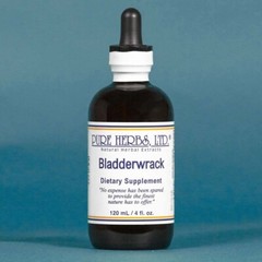 Bladderwrack Herbal Extract Pure Herbs 4 fl oz (Brown Seaweed)