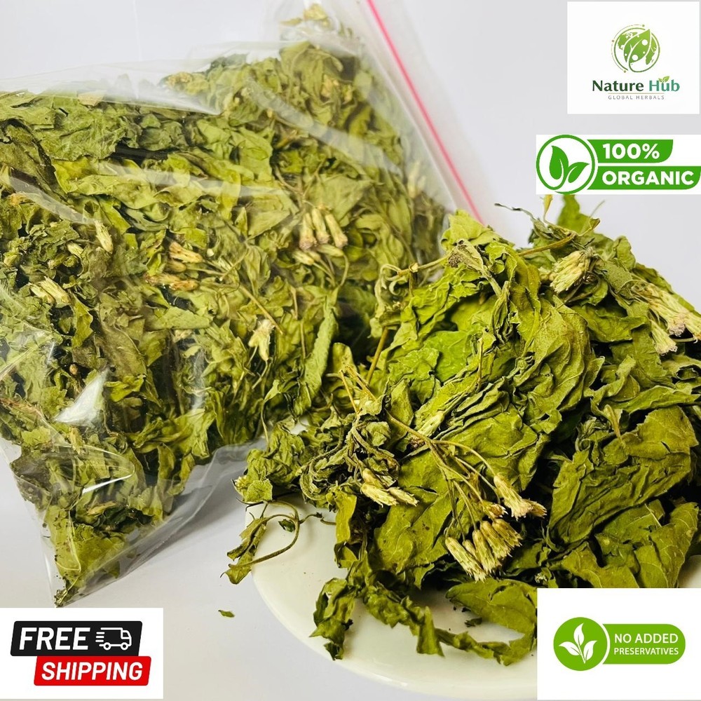 Calea Zacatechichi (Mexican Dream Herb) | Natural Dried Herbal Leaves 100g |Tea