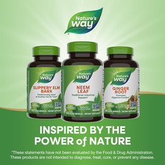 Neem Leaf Capsules – Intestinal Support – 950mg, 100 Vegan Caps