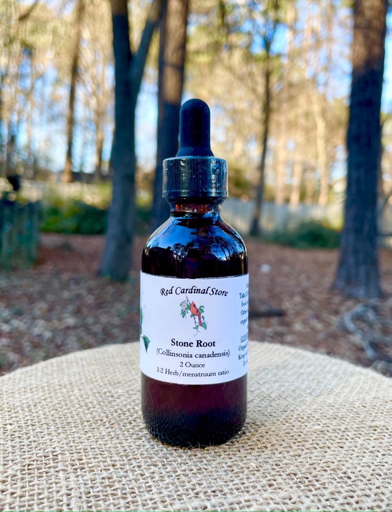 Stone Root Tincture Herb Extract Double Extraction