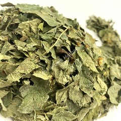 Dream Herb, Calea zacatechichi, Organic Leaf, 1 oz FreeShip ~ Schmerbals Herbals