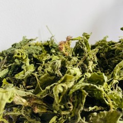 Premium Dreid Mexican Dream Herb (Calea Zacatechichi) | 100% Pure Organic | 500g