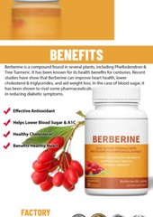 BERBERINE WITH PHYTOSOME PLUS BOTANICAL EXTRACT SUPPORTS CARDIOVASCULAR HEALTH