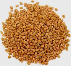 Fenugreek Methi Seed 100% Pure Organic Trigonella Foenu Whole Methi Seed