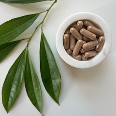 White Willow Bark Capsules | 100% Wild-Crafted | Salix Alba | 500mg