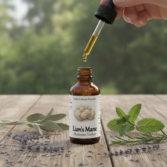 Lion’s Mane Fruits Herbal Tincture (H. erinaceus) – Cold Steeped & Concentrated