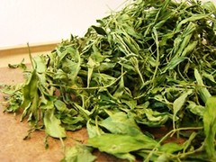 500g Dried Stevia Rebaudiana Leaf Thai Organic Natural Herb Healthy Sweetener Lo