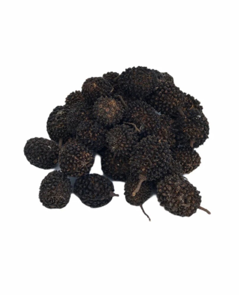 ( 4 oz ) Organic Guasima/Guasimo Seeds